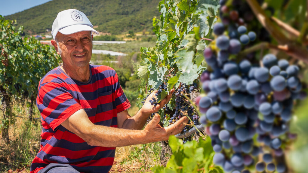 Seitanidis Estate Winery