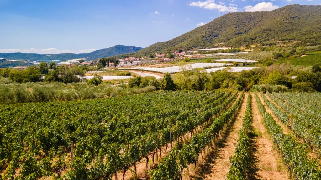 Seitanidis Estate Kavala